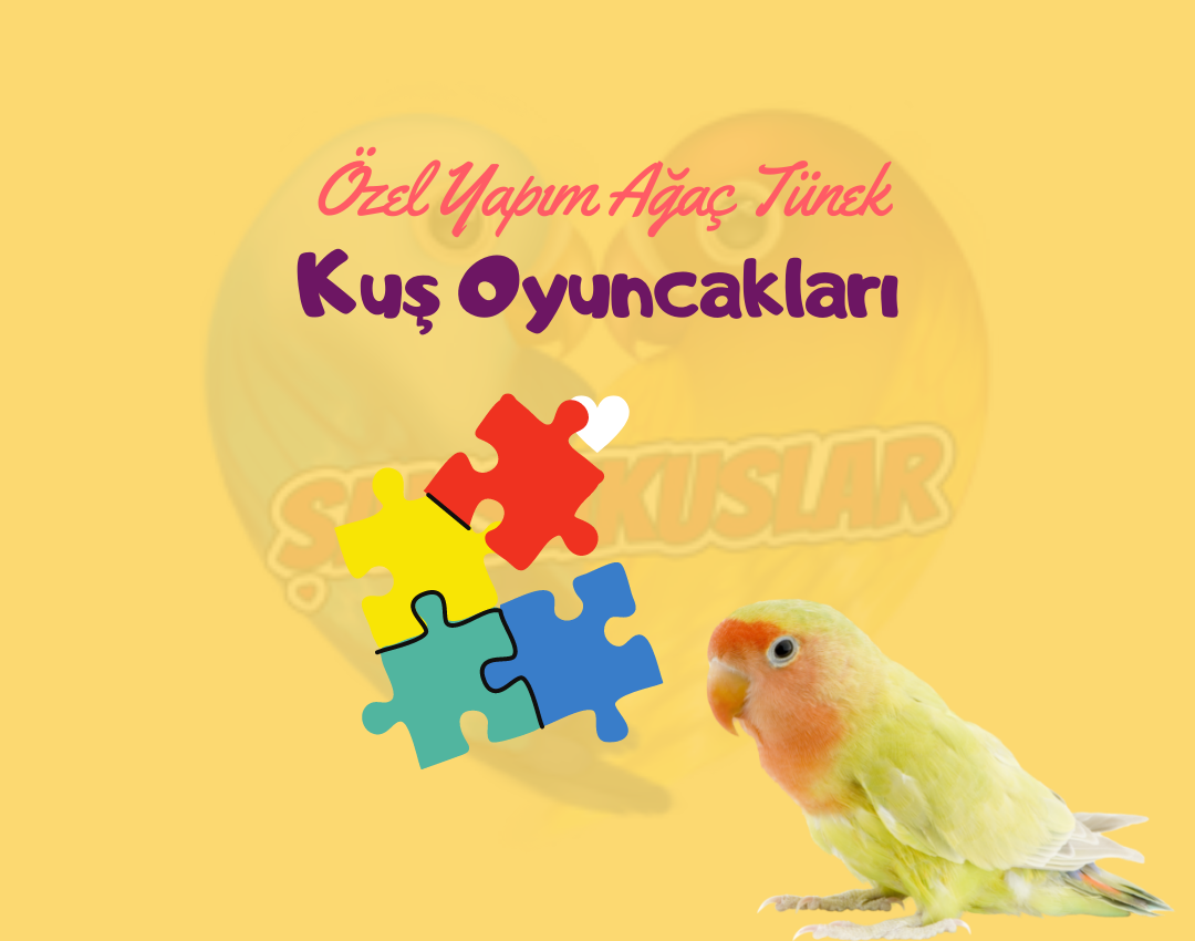 kus-oyuncaklari