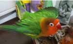 1648401314_hqdefault.jpg