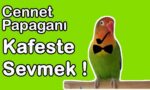 1648611914_maxresdefault.jpg