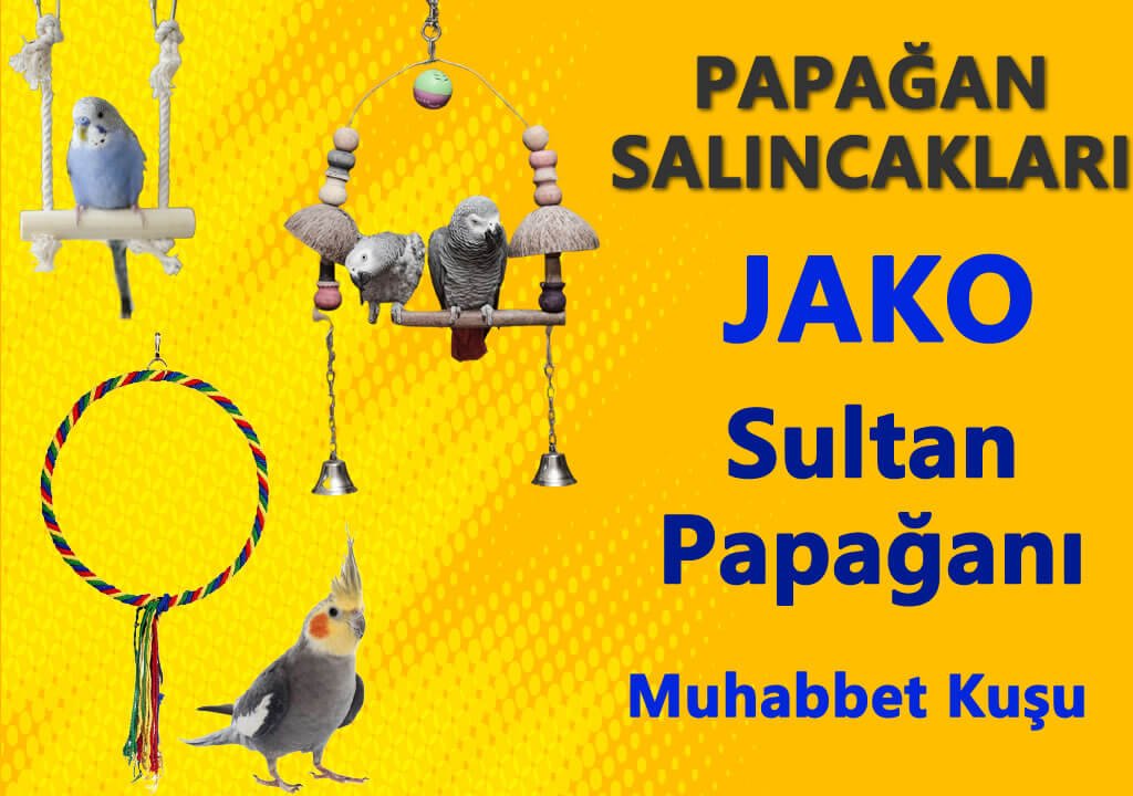 papagan-salincak.jpg