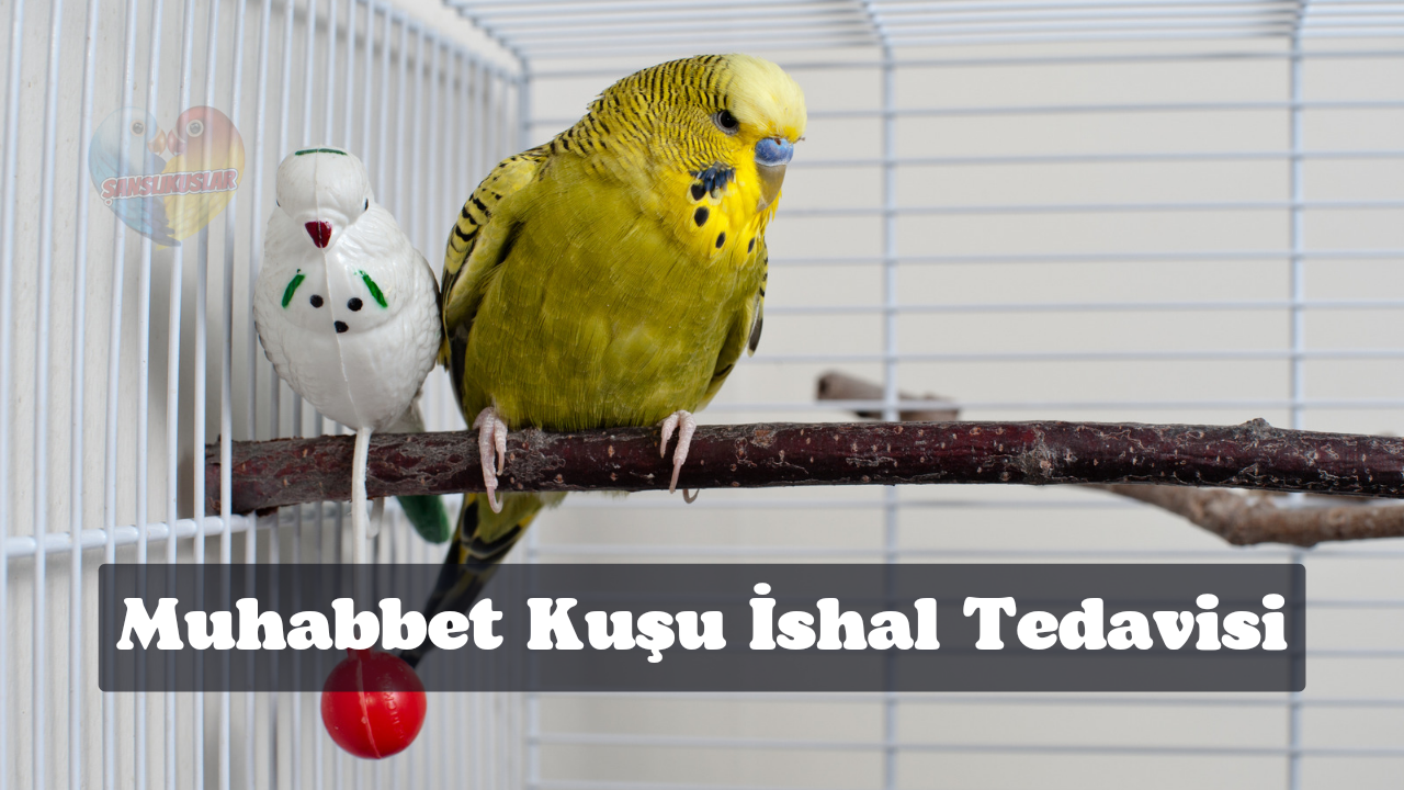 20220618_104814_0000