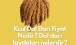 kizil-dal-dari-fiyat